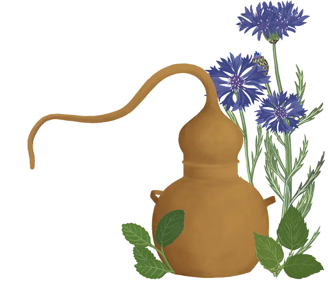 alambic et plantes 1