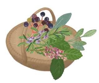 panier plein 1