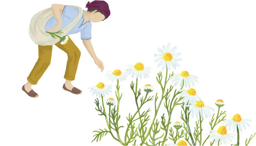ramassage-fleurs